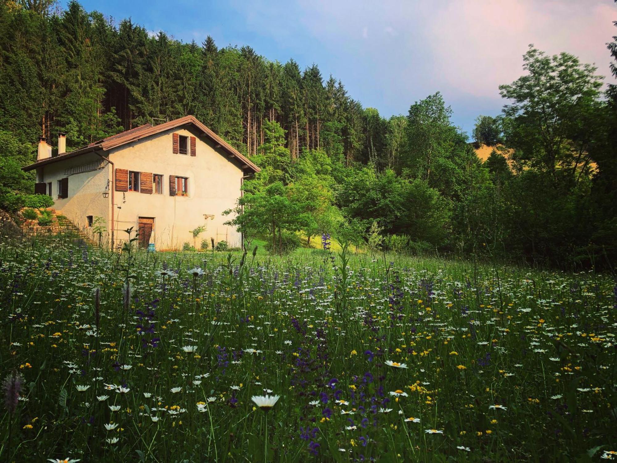 Alla Casetta B&B Cesiomaggiore Eksteriør billede